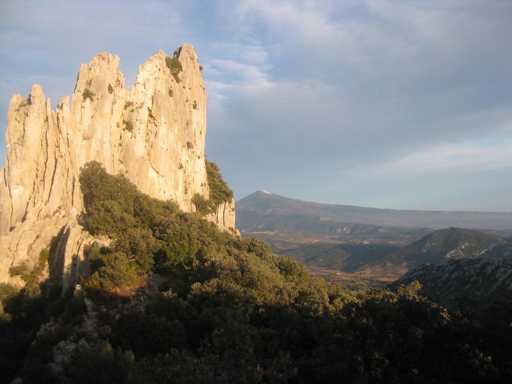 Chambres D'Hotes Aux Tournesols Malaucène Dış mekan fotoğraf